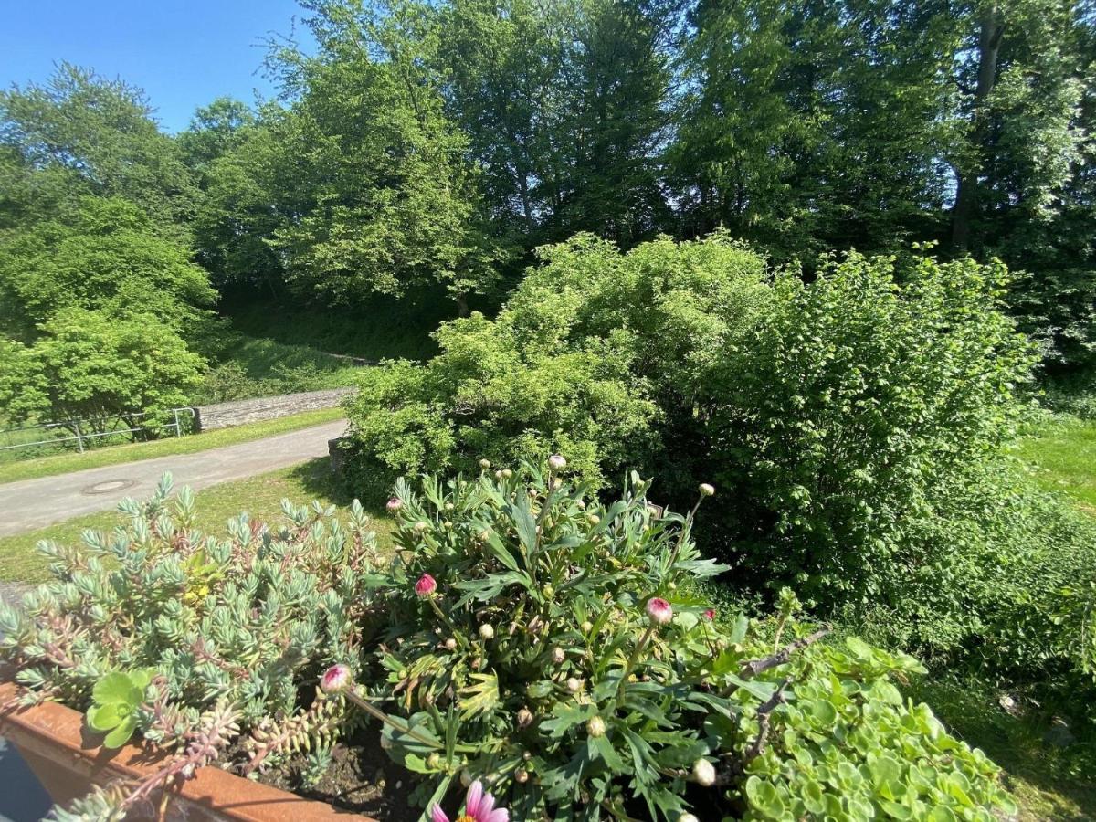 Ferienwohnung Im Brohlbachtal Kaifenheim Esterno foto